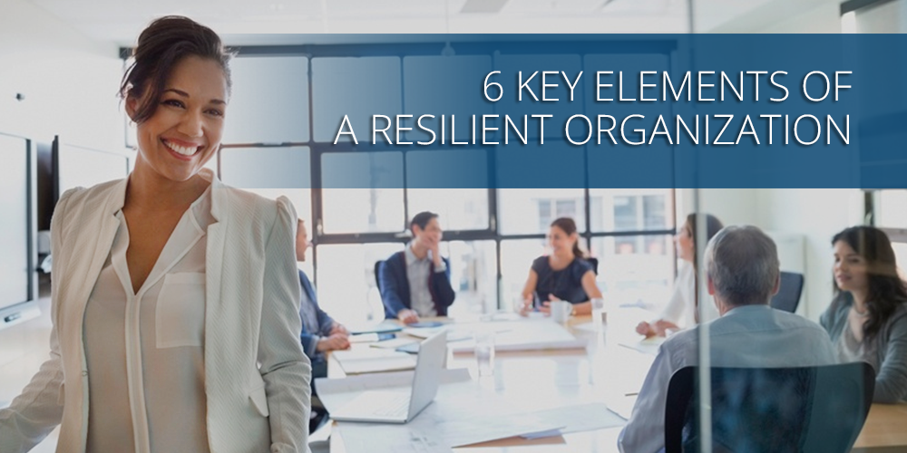 6 Key Elements of A Resilient Organization